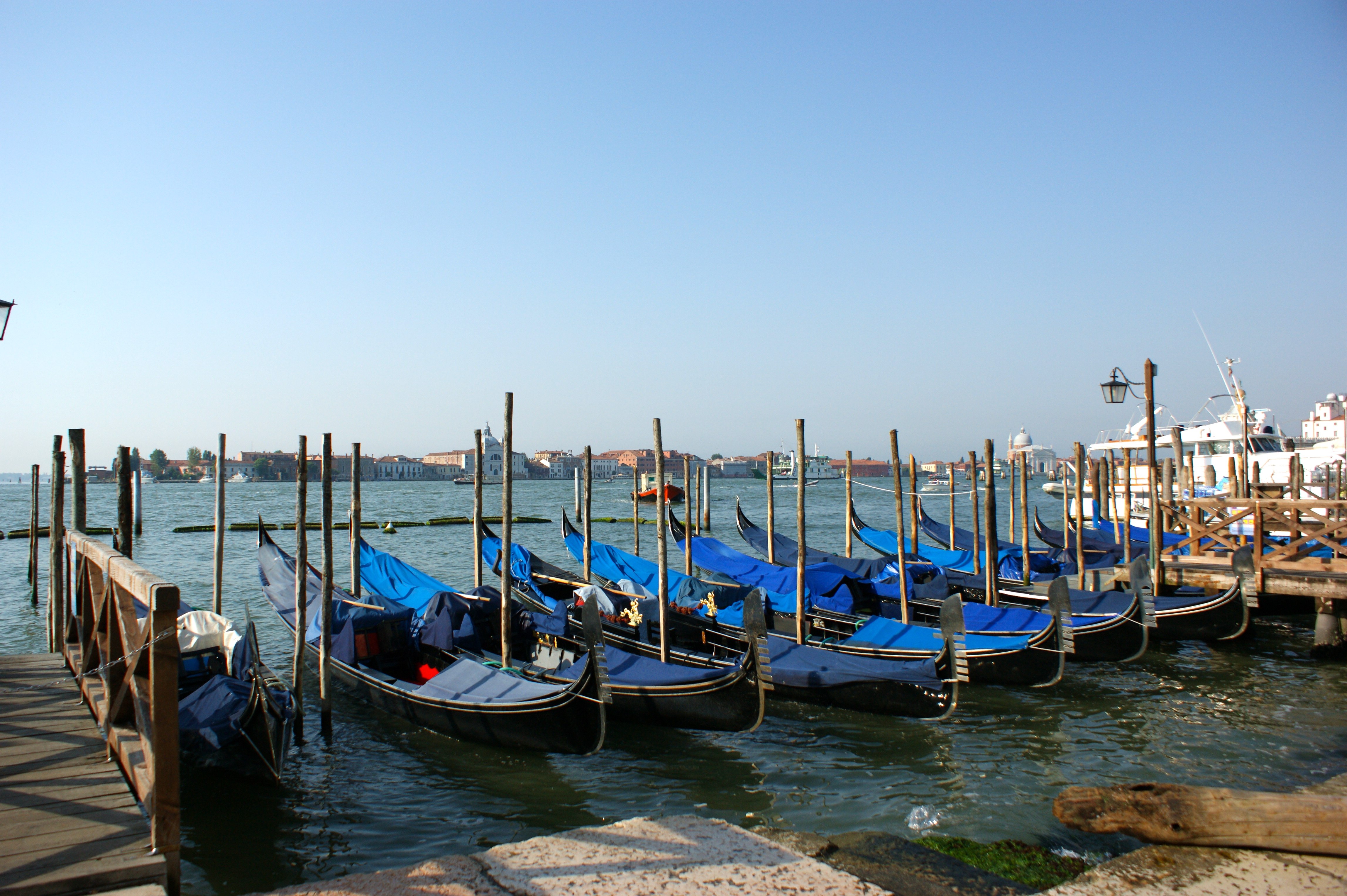 DSC00353.JPG